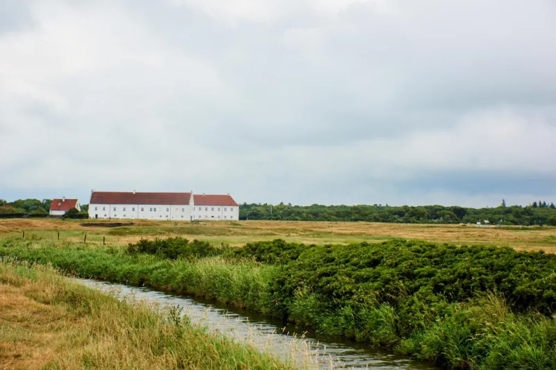 Vitskøl Kloster photo 9