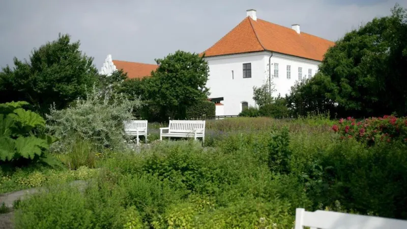 Vitskøl Kloster photo 15