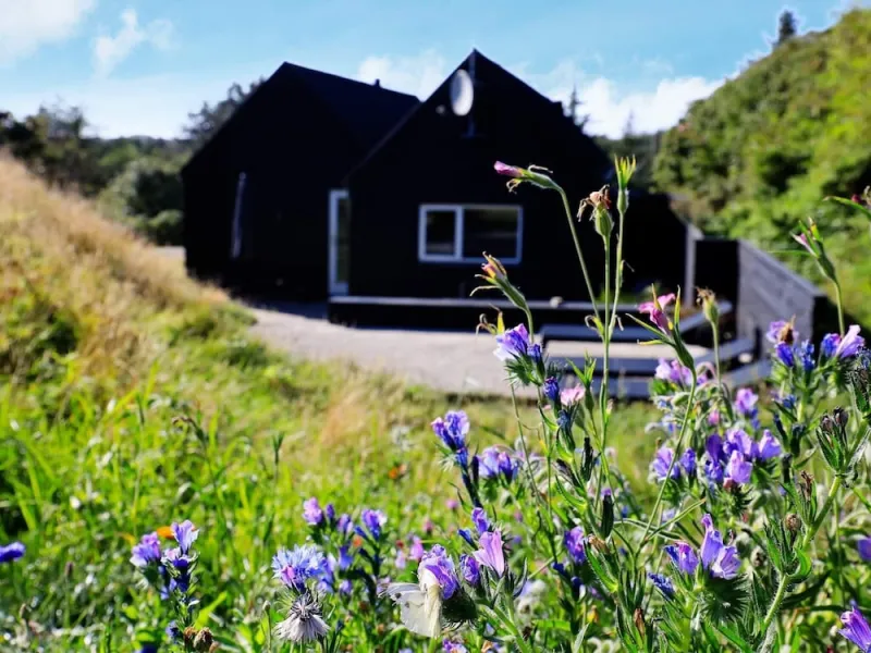 Billede 22 af Holiday Home in Blokhus