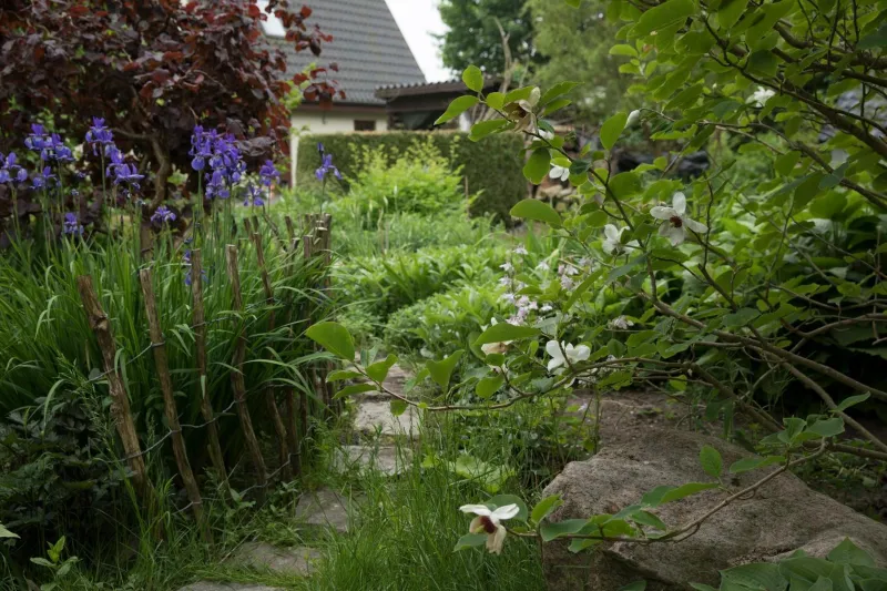 Billede 3 af Bed & Breakfast Horsens