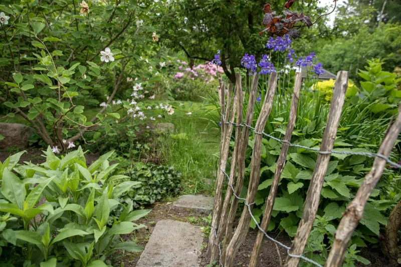 Billede 9 af Bed & Breakfast Horsens