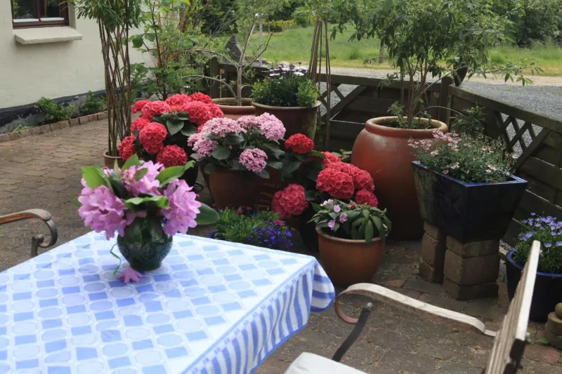 Billede 23 af Bed & Breakfast Horsens