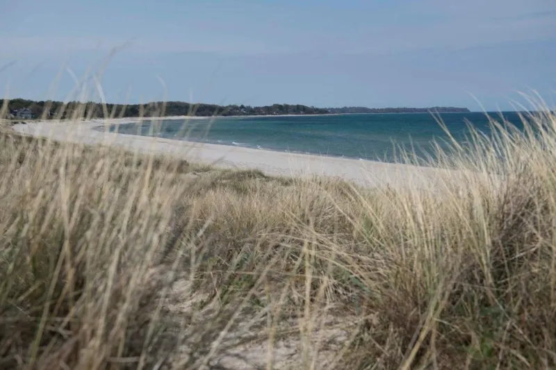 Hotel Hornbækhus photo 10
