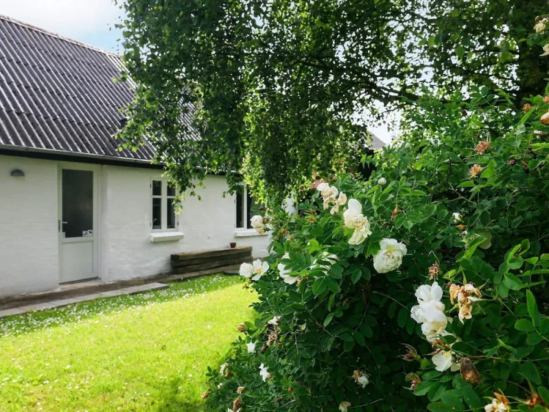 Billede 9 af 6 Person Holiday Home in Fur