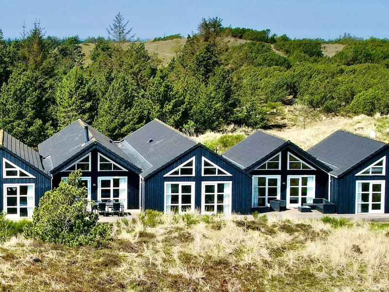 Billede 13 af 22 Person Holiday Home in Blavand
