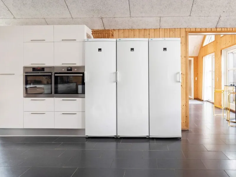Billede 22 af 22 Person Holiday Home in Blavand