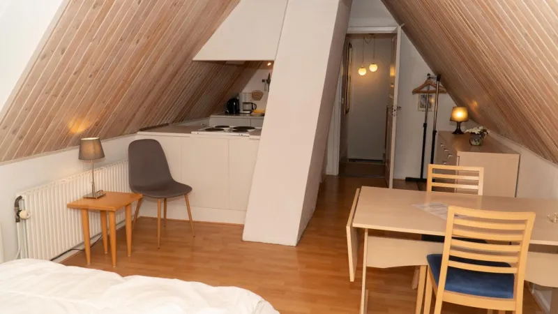 Billede 8 af Plesners Anneks