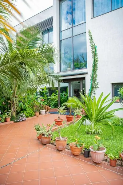 Billede 2 af CASA BIANCA