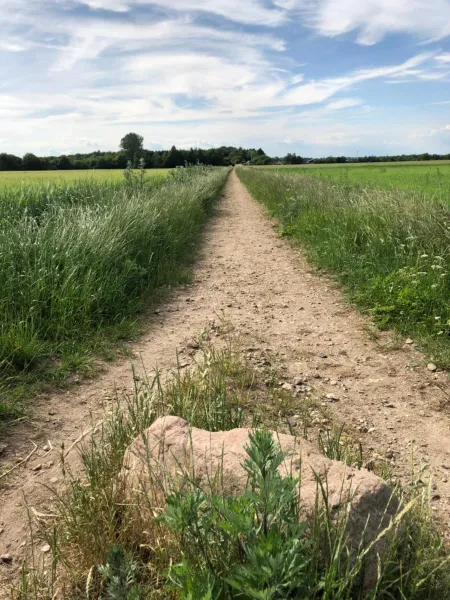 Billede 23 af Karensdal B & B
