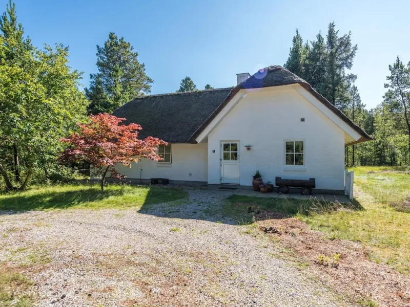4 Star Holiday Home in Norre Nebel