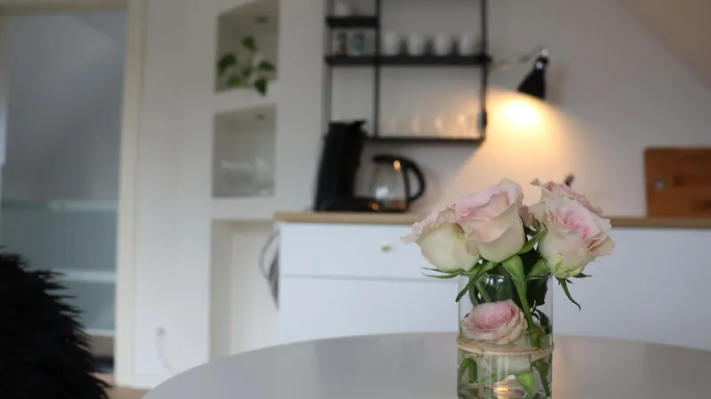 Billede 30 af Møllehusets lejligheder i Ikast tæt ved Herning, Silkeborg og Århus