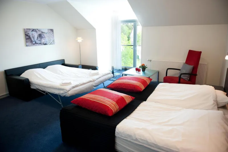 Vejlsøhus Hotel and Conference Center photo 33