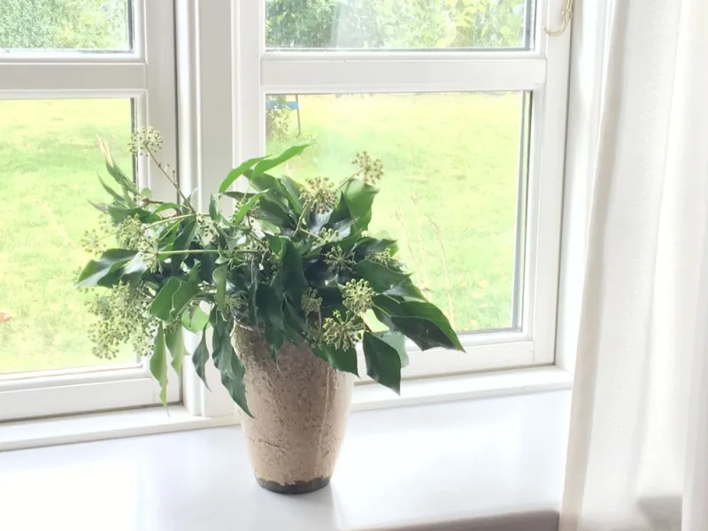 Spangsgaard bed and breakfast photo 16
