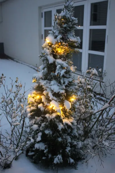 Spangsgaard bed and breakfast photo 17