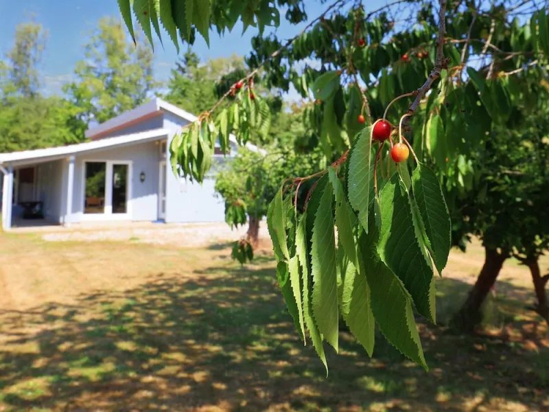 Billede 33 af 10 Person Holiday Home in Dannemare