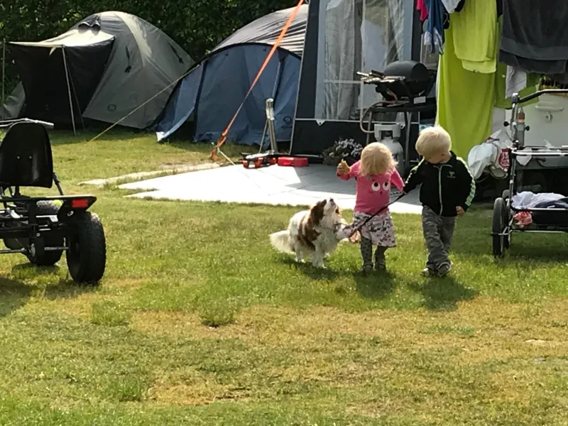 Vorbasse camping photo 92