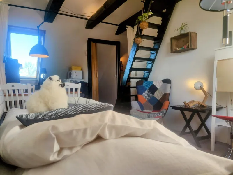 Billede 20 af Cozy Haven CPH - Bright small rooms, easy public transport
