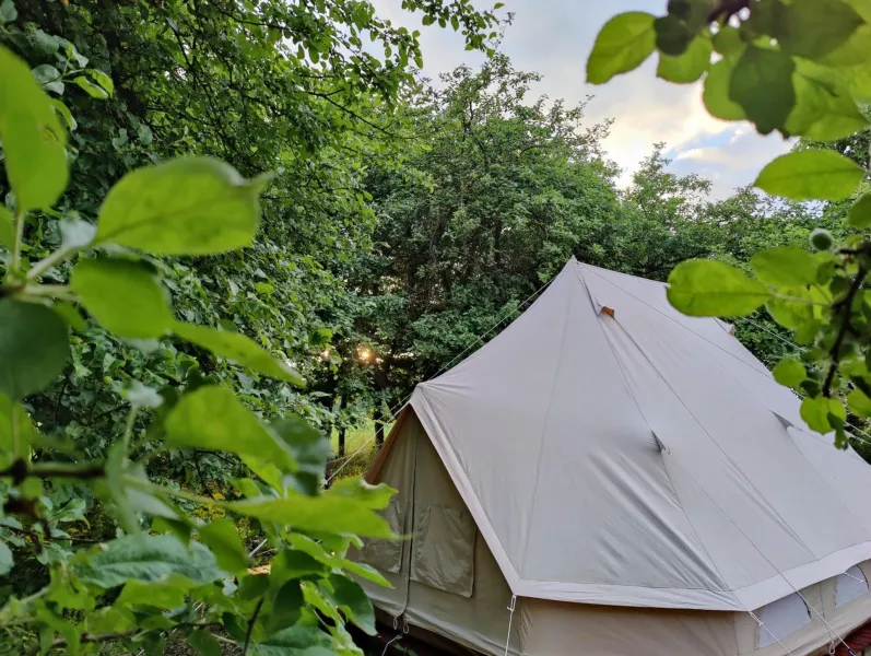 Under Canvas Bornholm photo 3