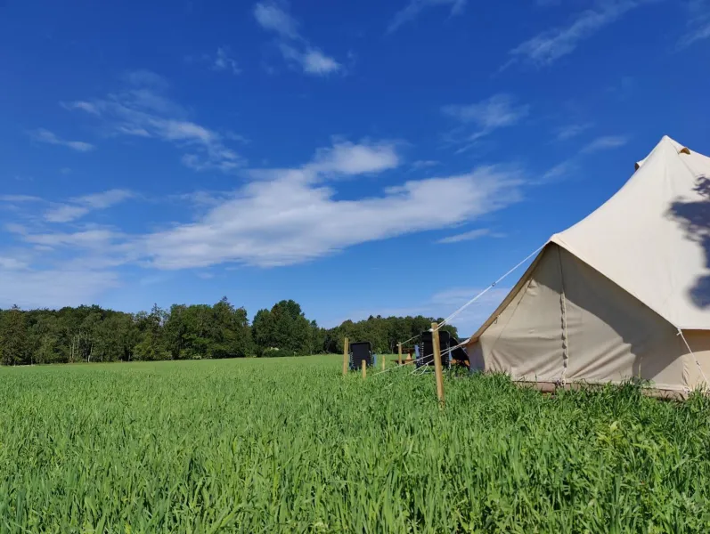 Under Canvas Bornholm photo 120