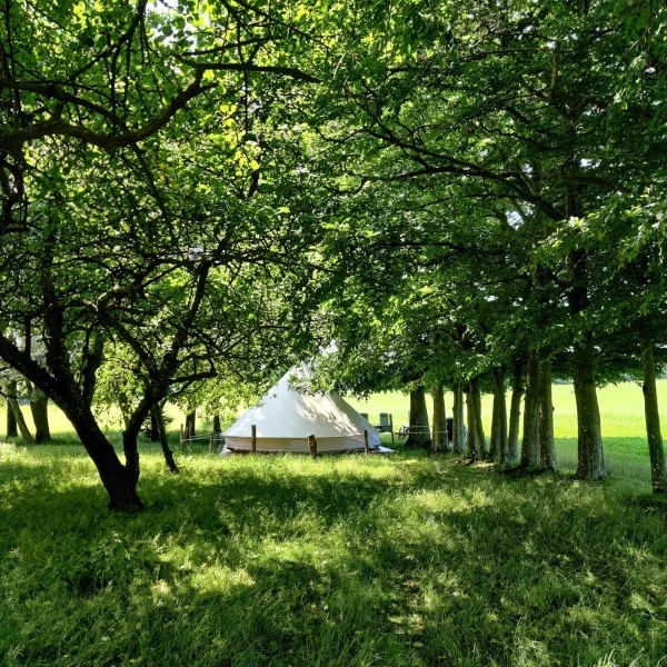 Under Canvas Bornholm photo 22