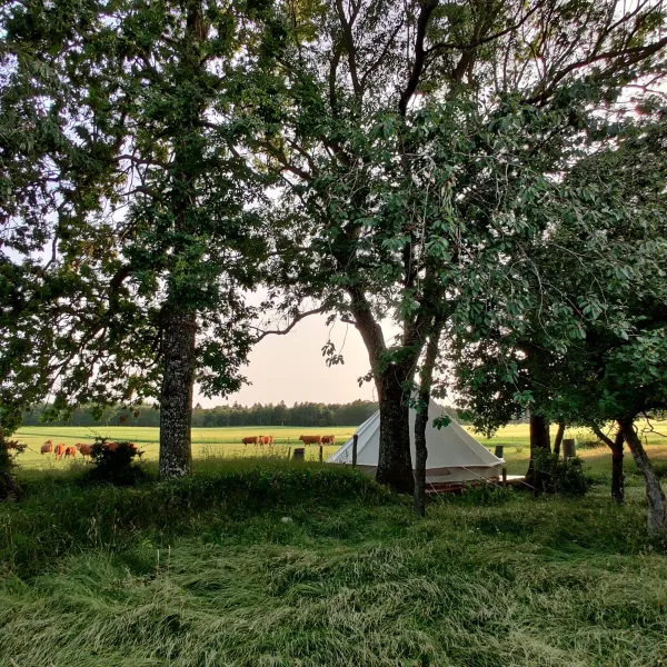 Under Canvas Bornholm photo 26