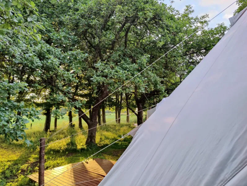 Under Canvas Bornholm photo 41