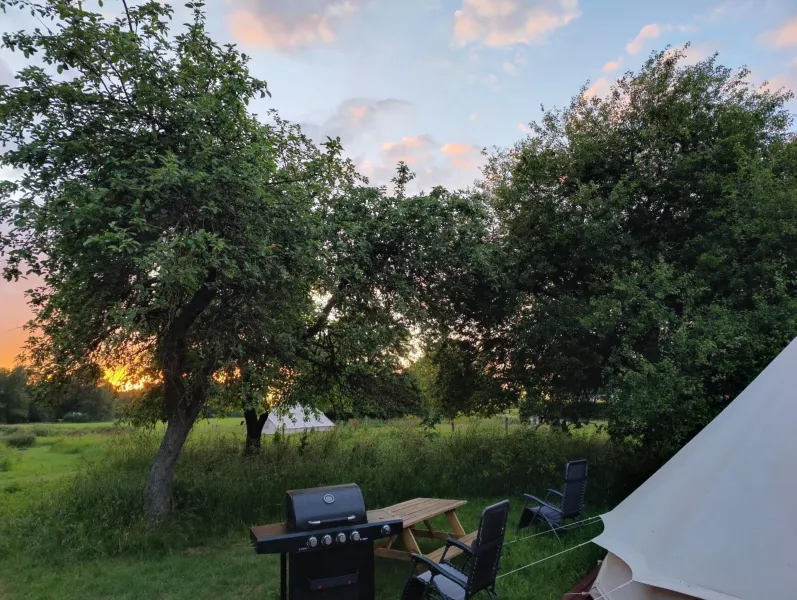 Under Canvas Bornholm photo 62