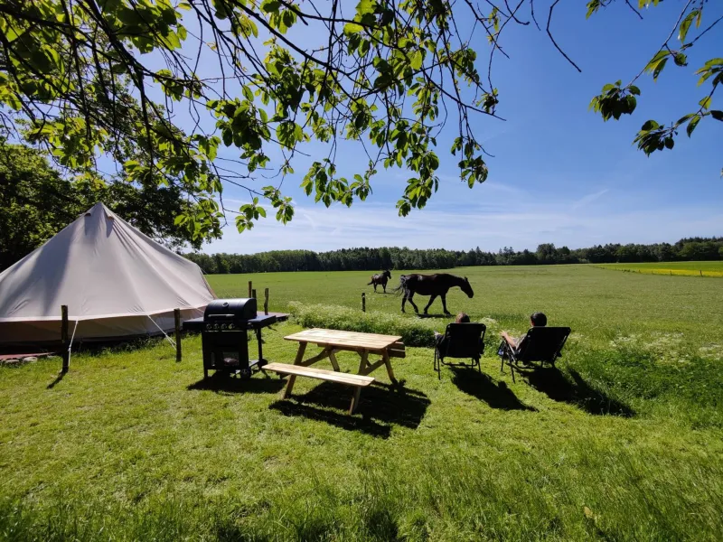 Under Canvas Bornholm photo 65