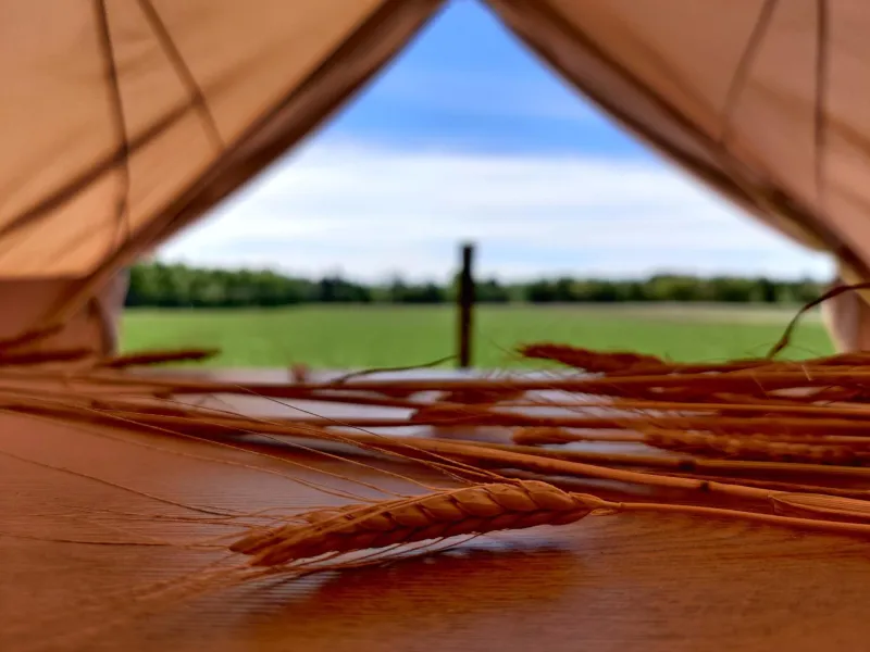 Under Canvas Bornholm photo 94