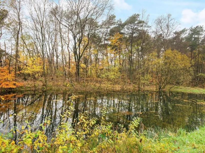 Billede 9 af Lakefront Gem in Skarrild - By Traum Ferienwohnungen