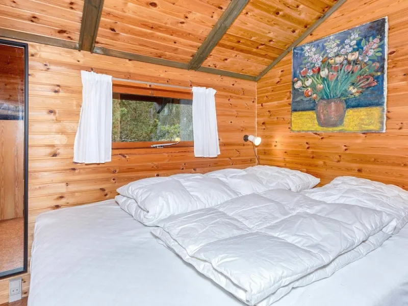Billede 13 af 4 Person Holiday Home in Albaek