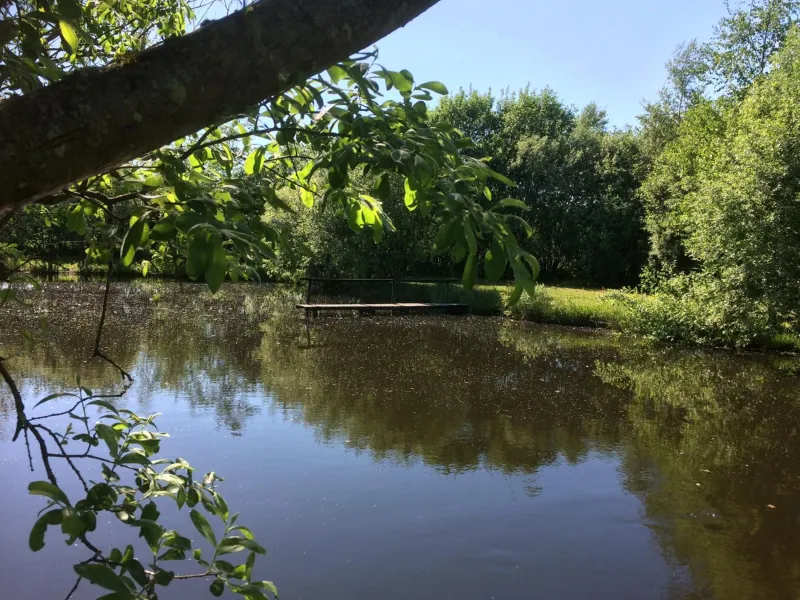 Billede 25 af Billund Holiday - Assengaard B & B
