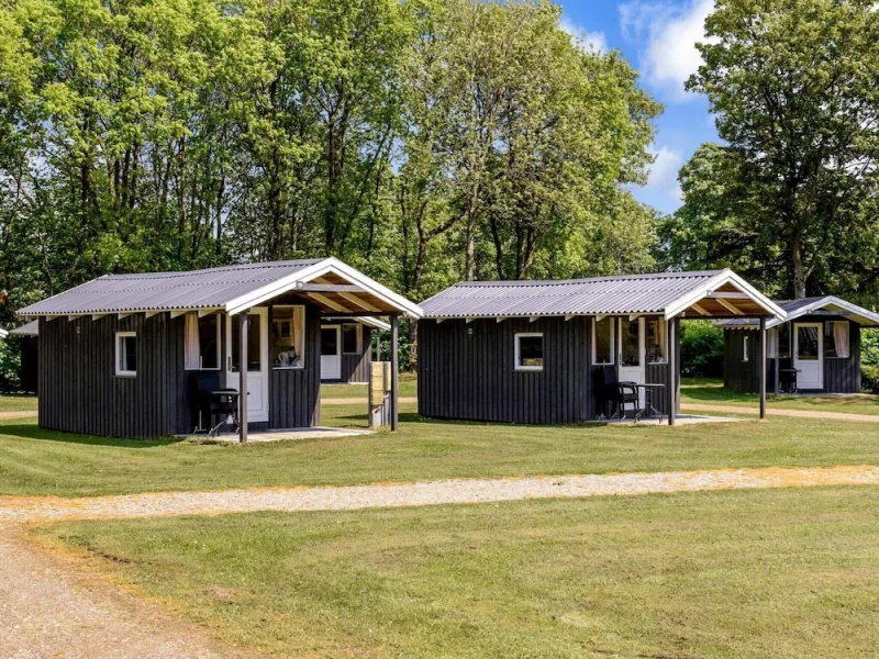 Billede 8 af 6 Person Holiday Park Home in Jelling