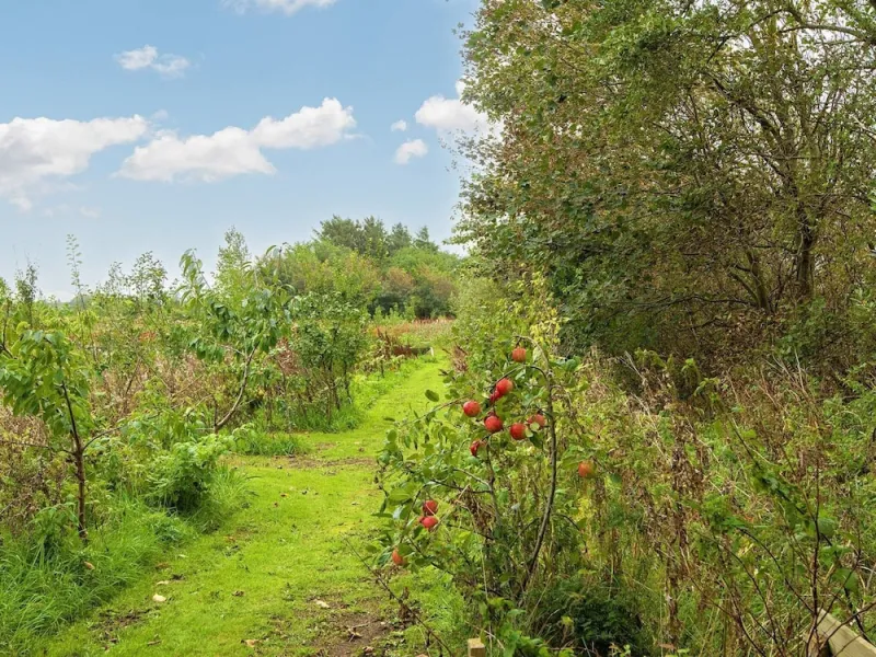 Billede 9 af 8 Person Holiday Home in Ulfborg