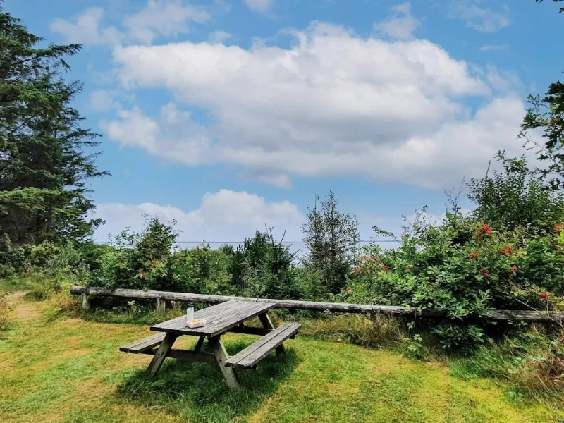 Billede 16 af 6 Person Holiday Home in Ulfborg