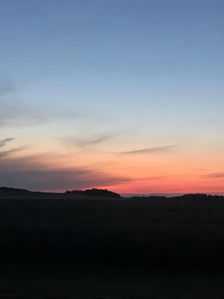 Billede 2 af Ny Roesgaard