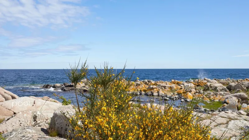 Nordlandet photo 38