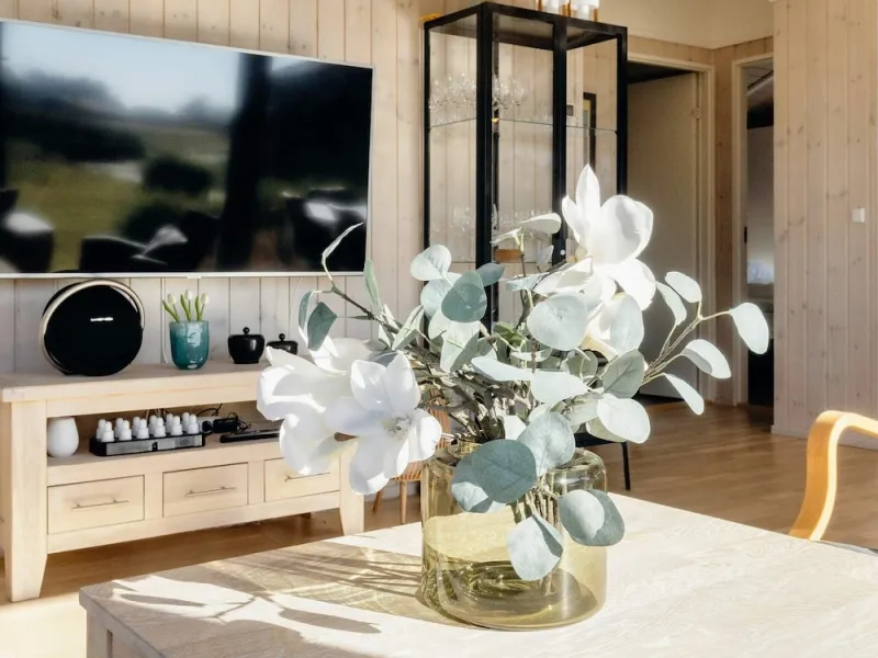 Billede 24 af 5 Star Holiday Home in Hirtshals