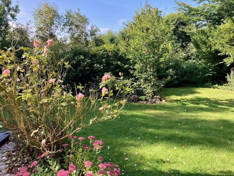Billede 8 af 6 Person Holiday Home in Hornbaek