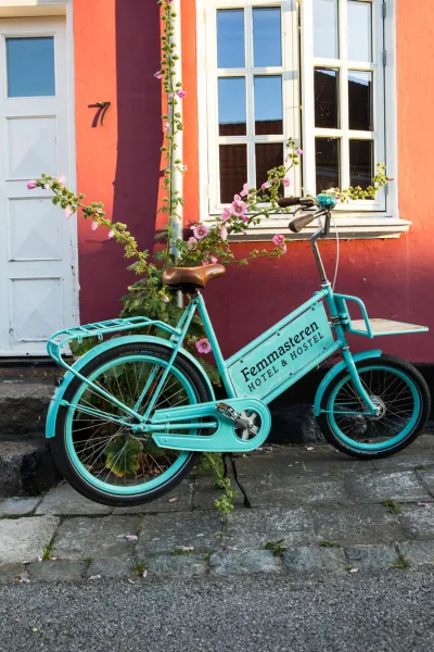 Femmasteren Hotel & Hostel photo 16