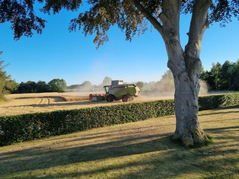 Billede 37 af Birkelund BnB