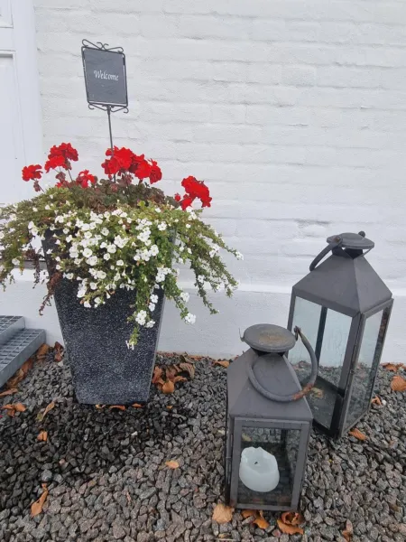Billede 49 af Birkelund BnB