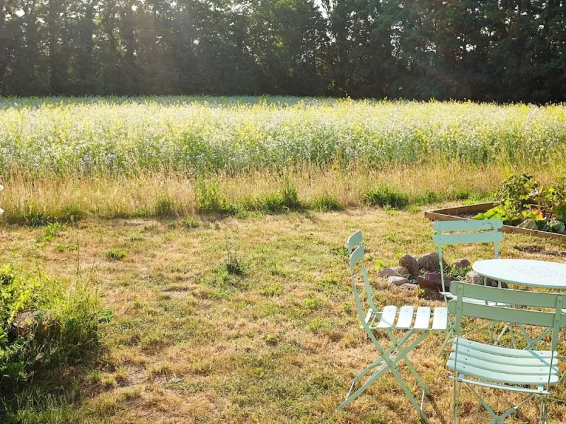 Billede 20 af 6 Person Holiday Home in Kettinge