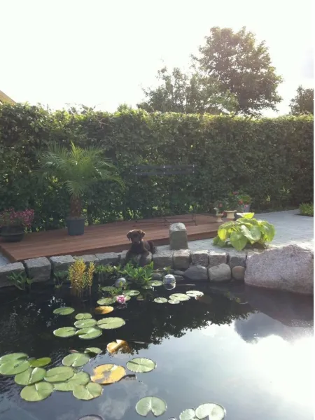 Billede 21 af Bed & Breakfast Horsens - Udsigten