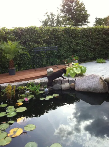 Billede 45 af Bed & Breakfast Horsens - Udsigten
