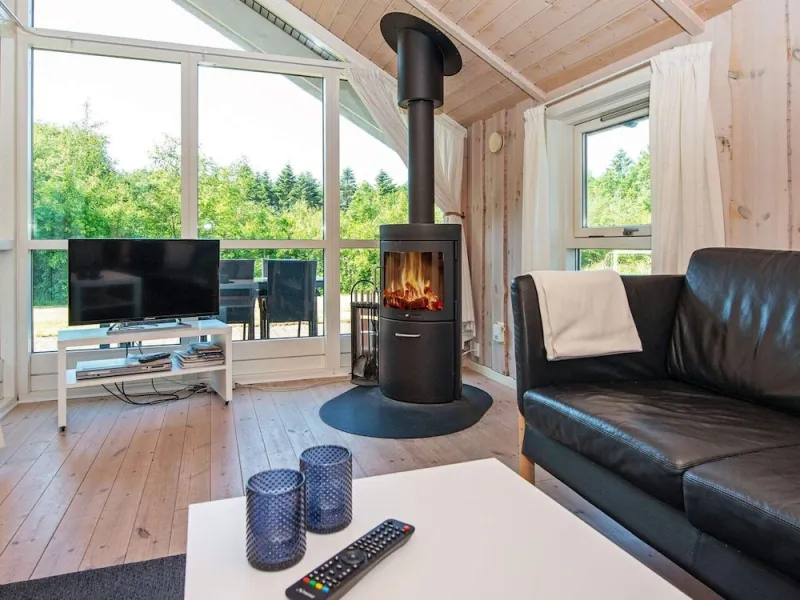 Billede 21 af 6 Person Holiday Home in Toftlund