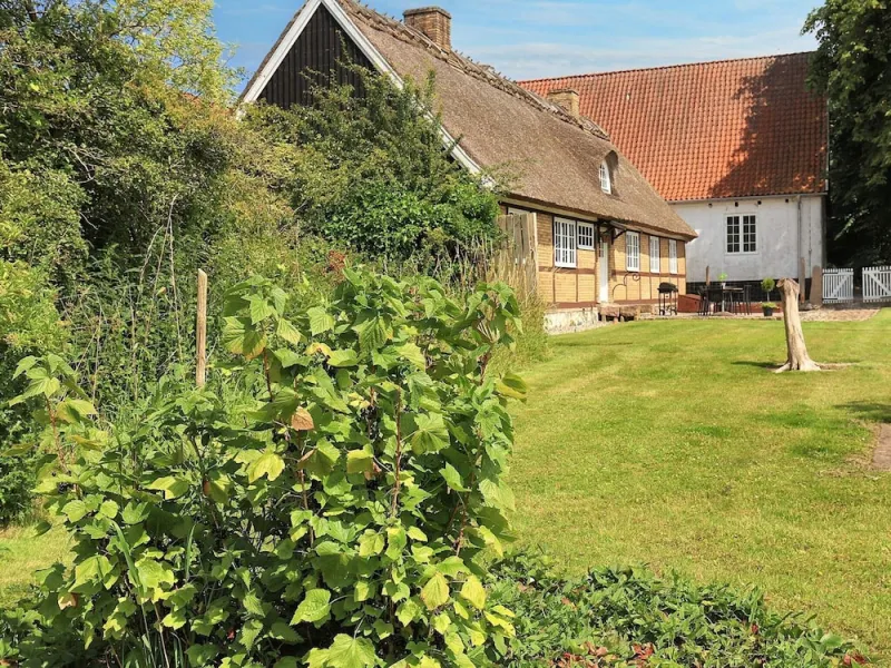 Billede 17 af 6 Person Holiday Home in Store Heddinge