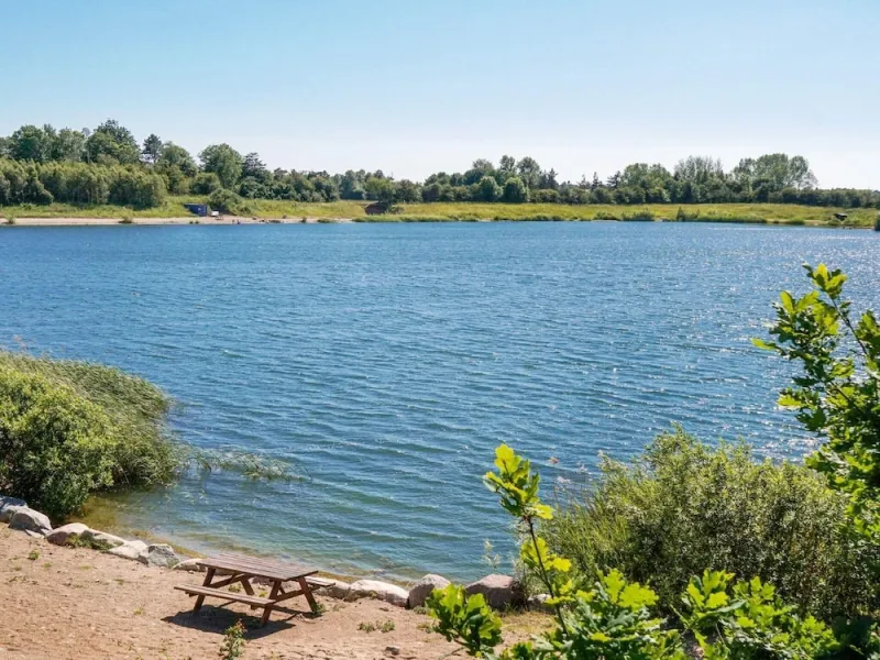 Billede 22 af 6 Person Holiday Home in Eskebjerg