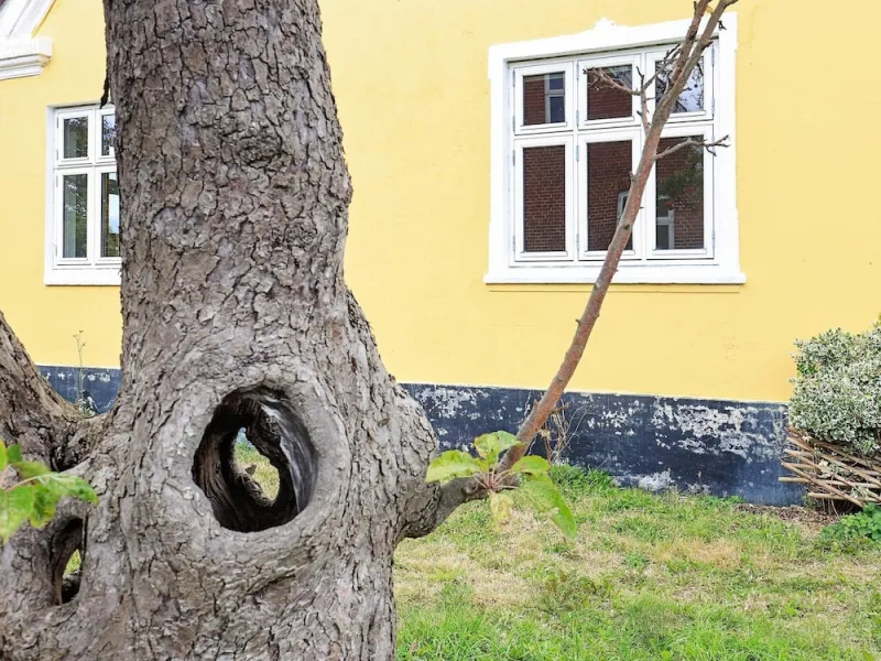 Billede 6 af 6 Person Holiday Home in Rudkobing