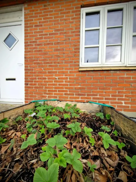 Billede 13 af Haus Fabjerg